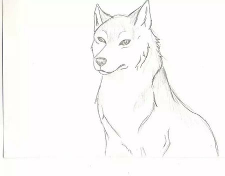 Рисунки карандашом для срисовки