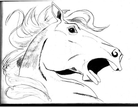 Рисунки для срисовки