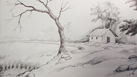 Графика карандашом