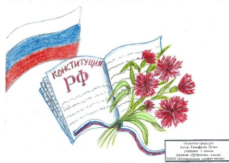 День Конституции рисунки детей