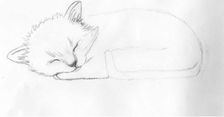 Кошка рисунок карандашом