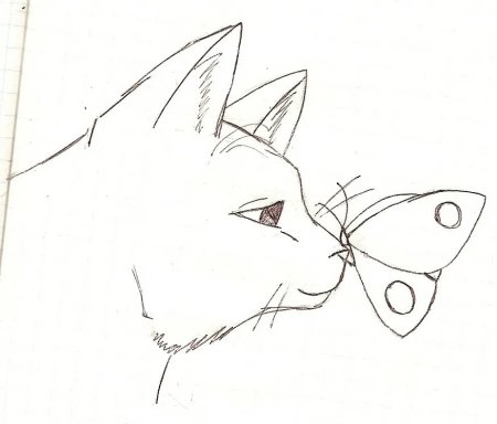 Котенок рисунок