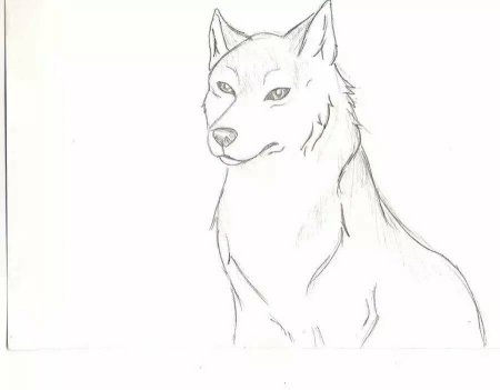 Рисунки карандашом для срисовки