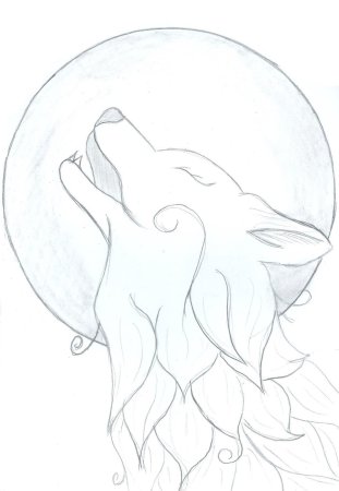 Рисунки Волков карандашом для срисовки