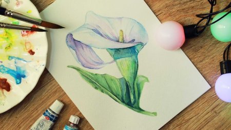 Красивые и простые рисунки акварелью