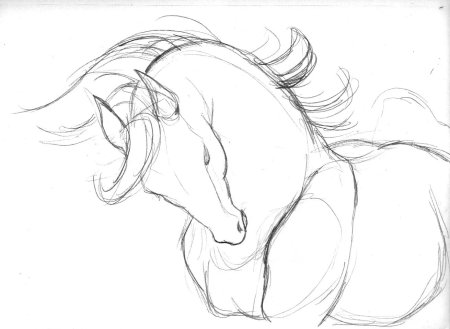 Картинки лошадей для срисовки