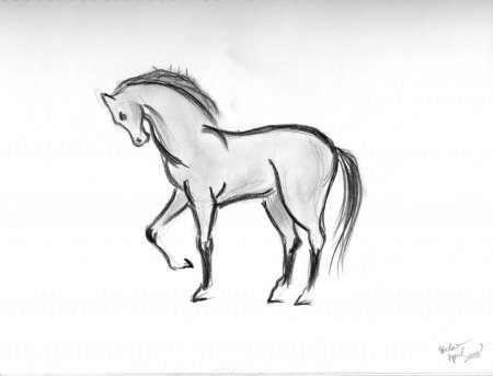 Лошадь рисунок карандашом