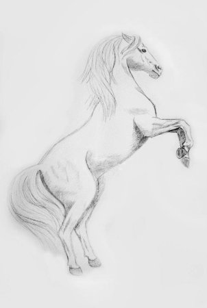 Лошадь карандашом легко