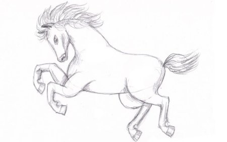 Лошадь рисунок