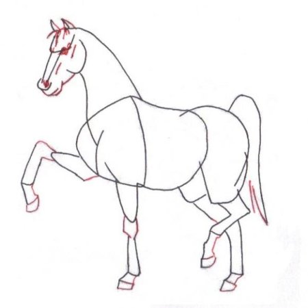 Как рисовать лошадь поэтапно карандашом