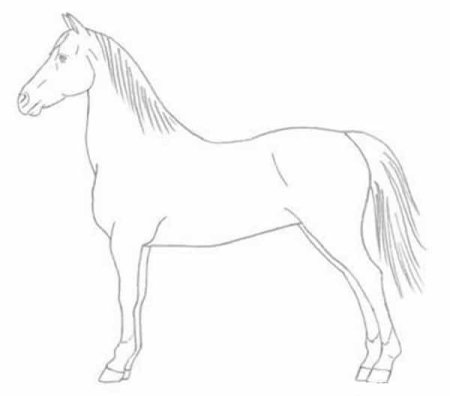 Рисование лошади 4 класс