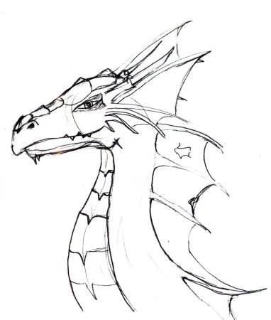 Дракон для срисовки