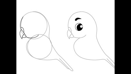 Как нарисовать поп