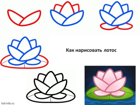 Поэтапное рисование цветов