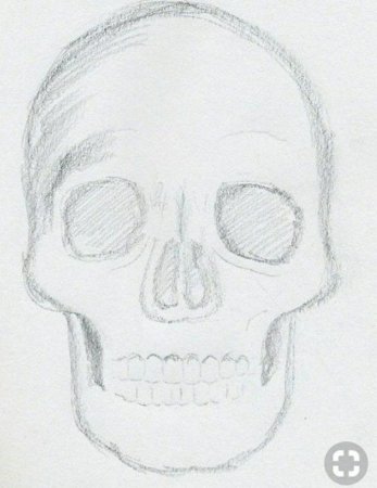 Череп карандашом легкий