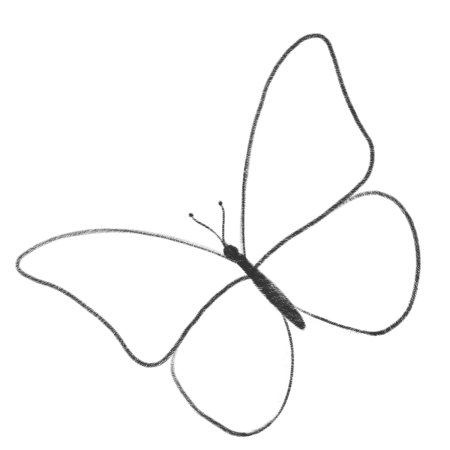 Бабочки картинки нарисованные
