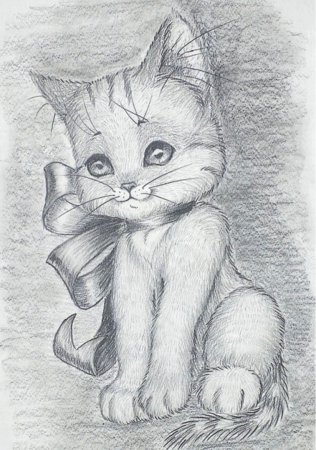 Фрукты для срисовки карандашом