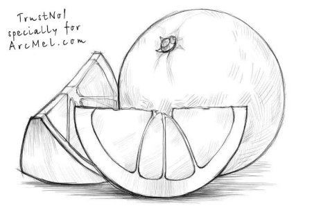 Милые рисунки для срисовки карандашом