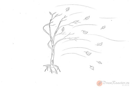 Рисунок осень карандашом