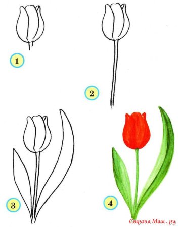 Схемы рисования цветов
