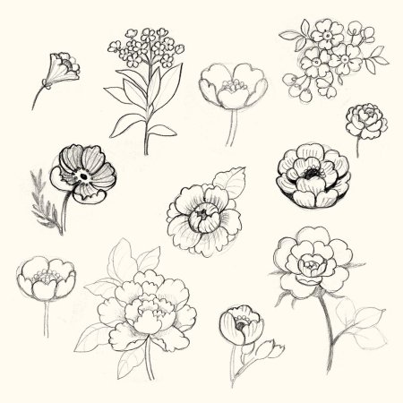 Растения для рисования