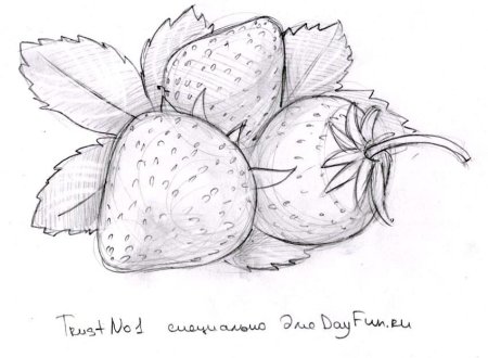Рисунки фруктов для срисовки карандашом
