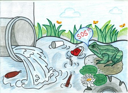 Рисунок по экологии