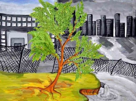 Защита природы раскраска