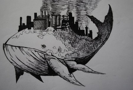 Экология раскраска для детей