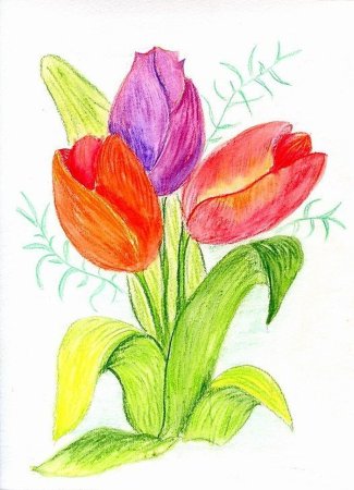 Рисование весенних цветов