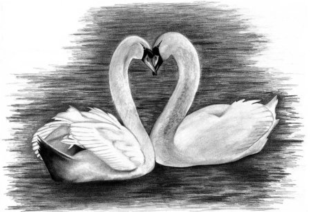 Рисунки простым карандашом для срисовки