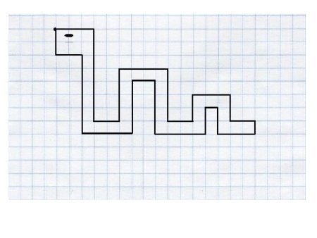 Рисунки по клеткам карандашом