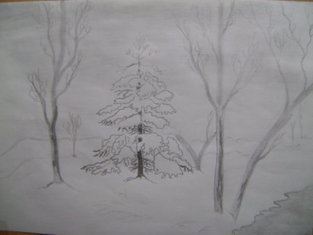 Зимний лес рисунок карандашом
