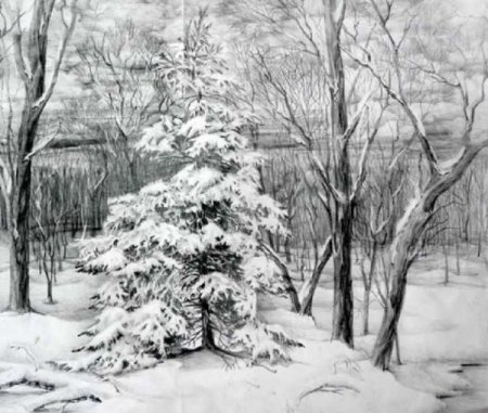 Зимний лес карандашом