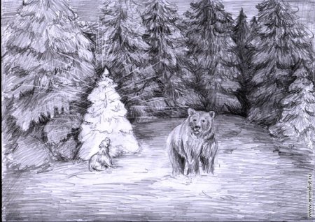 Зимний лес карандашом