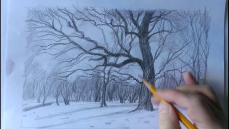Зимний лес карандашом