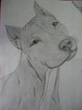 Рисунки карандашом для срисовки глаза