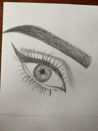 Рисование цветов карандашом для начинающих