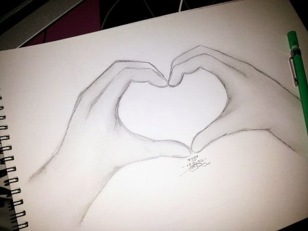 Цветы простым карандашом для начинающих