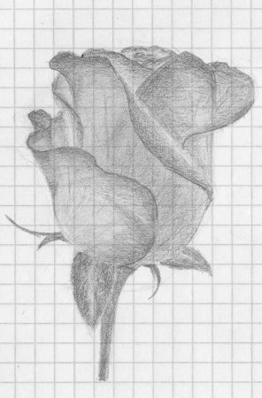 Как нарисовать книгу легко