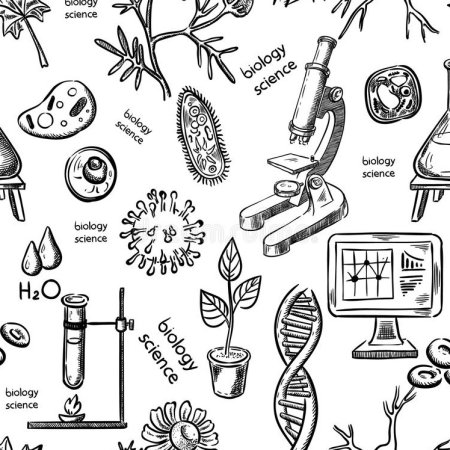 Рисунки на тему биология