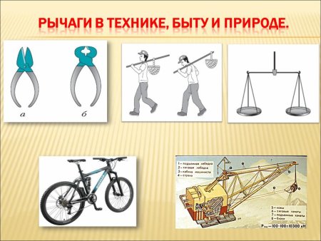 Рычаги в технике быту и природе
