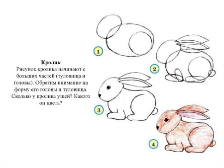 Рисуем кролика поэтапно для детей
