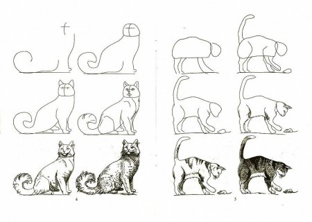 Поэтапный рисунок котенка для детей