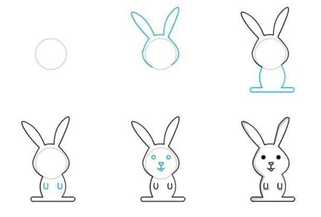 Рисование заяц хваста в старшей группе