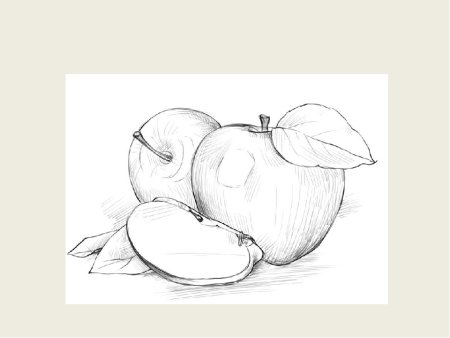 Натюрморт карандашом