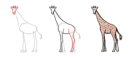 Поэтапное рисование жирафа для дошкольников