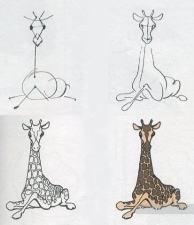 Поэтапное рисование верблюда для дошкольников