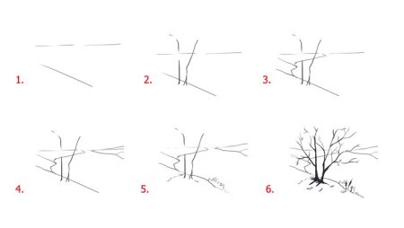 Поэтапное рисование пейза