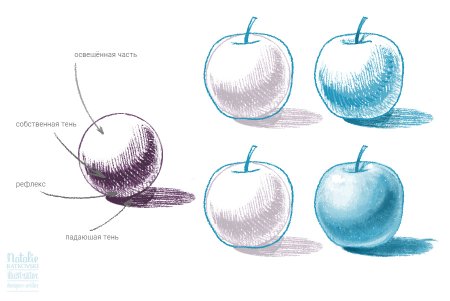 Поэтапное рисование снегиря 1 класс